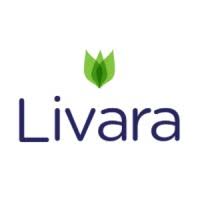 Accountant Job At Livara Natural Organics – Jobs In Uganda – Latest 